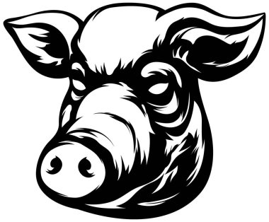 Domuz kafalı maskot. Kızgın domuz logosu. Domuz çizimi.