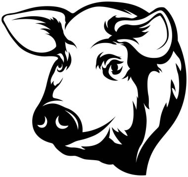 Pig head mascot. Swine logo. Hog illustration.