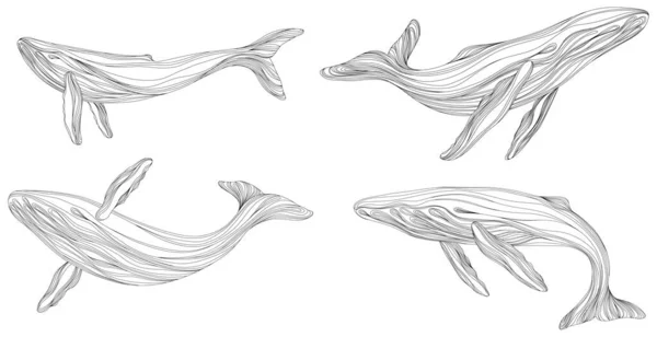 Abstrakcyjne Wieloryby Pływające Pod Wodą Ilustracja Izolowane Zwierzę Białym Tle — Wektor stockowy