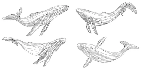 Abstrakcyjne Wieloryby Pływające Pod Wodą Ilustracja Izolowane Zwierzę Białym Tle — Wektor stockowy