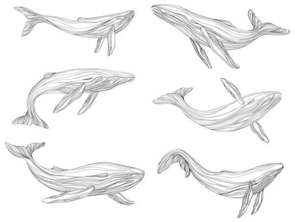 Abstracte Walvissen Drijvend Onder Water Illustratie Geïsoleerd Dier Witte Achtergrond — Stockvector