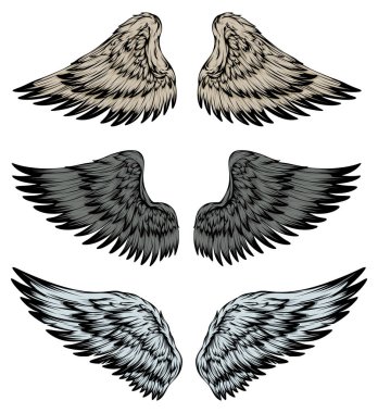 Bird wings illustration tattoo style. Hand drawn design element.