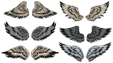 Bird wings illustration tattoo style. Hand drawn design element.