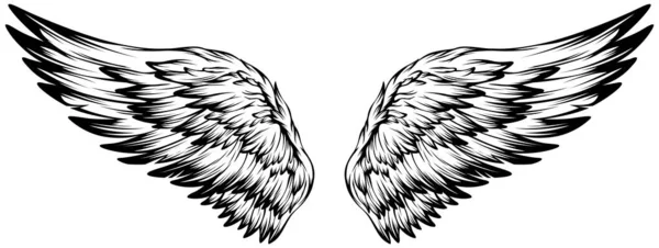 Vogelflügel Illustration Tätowierung Stil Handgezeichnetes Gestaltungselement — Stockvektor