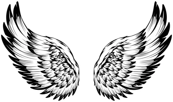 Bird Wings Ilustração Tatuagem Estilo Elemento Design Desenhado Mão —  Vetores de Stock