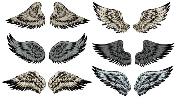 Татуировка с птичьими крыльями. Ручной рисунок.