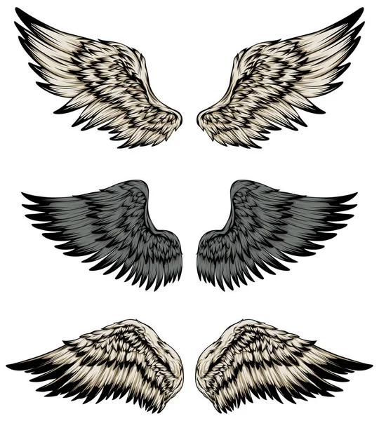 Bird Wings Illustration Tattoo Style Hand Drawn Design Element — 스톡 벡터