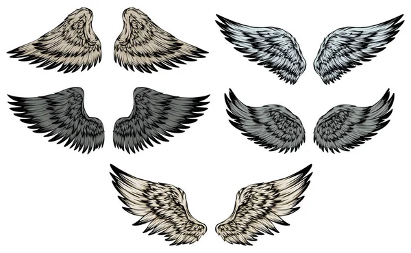 鸟类翅膀说明纹身风格 手绘设计元素 — 图库矢量图片#