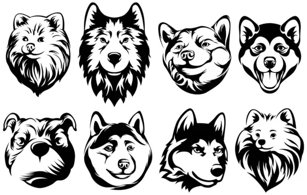 Hundeköpfe Abstrakte Charakterdarstellung Grafische Logodesign Vorlagen Für Embleme — Stockvektor