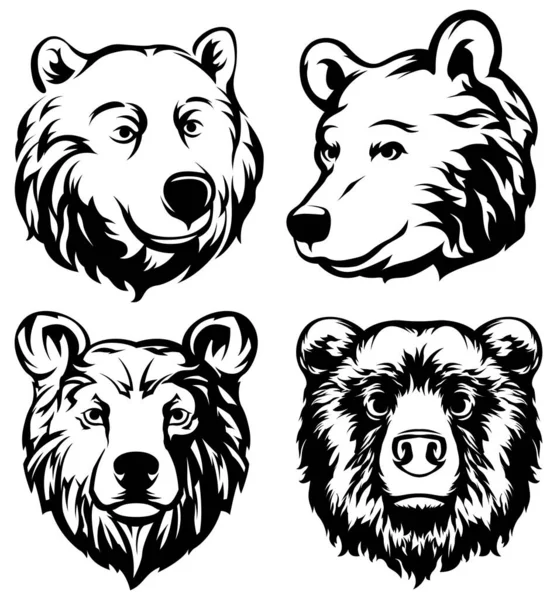 Head Bear Abstract Character Illustration Variant Set Graphic Logo Design — Stock Vector