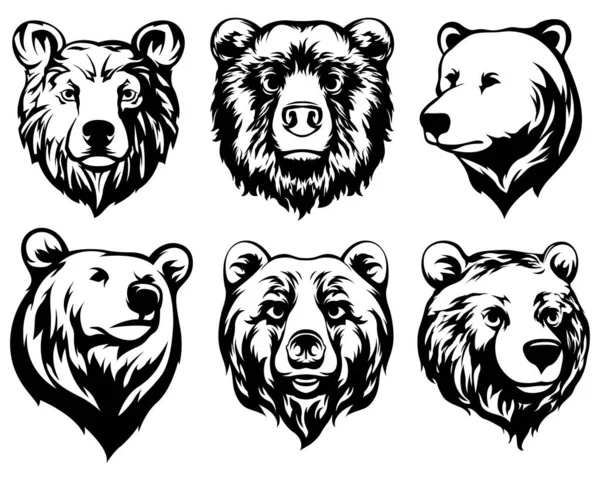 熊的头 摘要字符说明式变体集 图形标识设计模板的徽章 肖像画 — 图库矢量图片