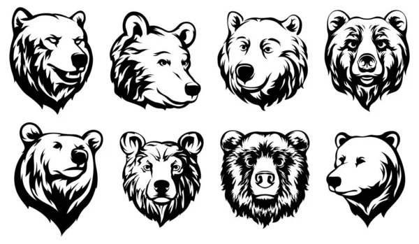 Głowa Niedźwiedzia Abstrakcyjny Zestaw Ilustracji Postaci Szablon Projektu Graficznego Logo — Wektor stockowy