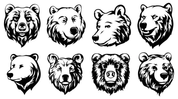 Medvefej Absztrakt Karakter Illusztráció Variáns Készlet Embléma Grafikus Logó Tervezési — Stock Vector