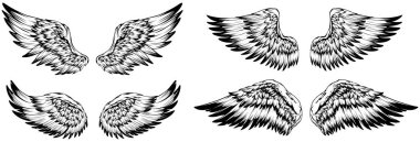 Bird wings illustration tattoo style. Hand drawn design element.