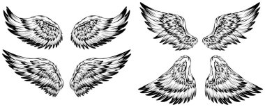 Bird wings illustration tattoo style. Hand drawn design element.