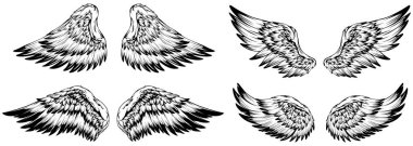 Bird wings illustration tattoo style. Hand drawn design element.