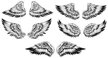 Bird wings illustration tattoo style. Hand drawn design element.