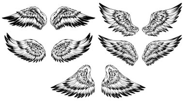 Bird wings illustration tattoo style. Hand drawn design element.