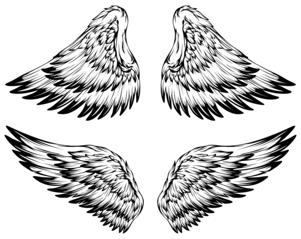 Bird Wings Ilustração Tatuagem Estilo Elemento Design Desenhado Mão —  Vetores de Stock