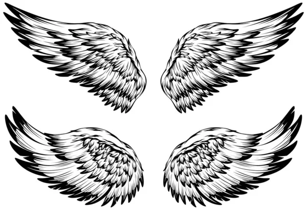 Φτερά Πουλιών Εικονογράφηση Τατουάζ Στυλ Στοιχείο Σχεδιασμού Ζωγραφισμένο Στο Χέρι — Διανυσματικό Αρχείο