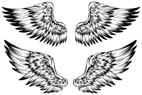 Bird Wings Illustration Tattoo Style Hand Drawn Design Element —  Vetores de Stock