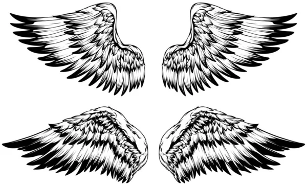 Bird Wings Illustration Tattoo Style Hand Drawn Design Element — Archivo Imágenes Vectoriales