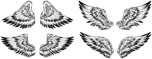 Bird Wings Illustration Tattoo Style Hand Drawn Design Element — Stockový vektor