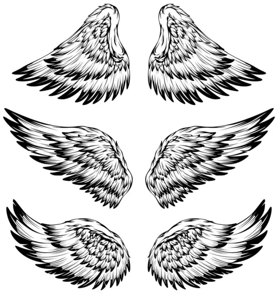 Madárszárny Illusztráció Tetoválás Stílus Kézzel Rajzolt Tervezési Elem — Stock Vector