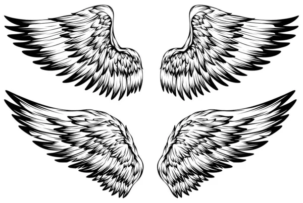 Bird Wings Illustration Tattoo Style Hand Drawn Design Element — Vettoriale Stock