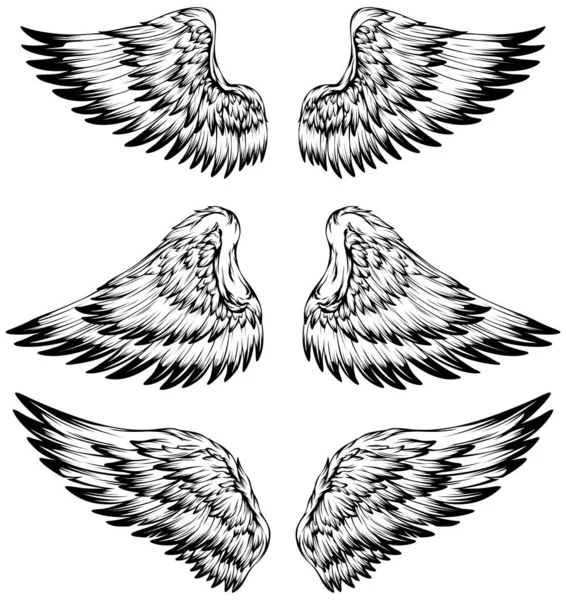 Bird Wings Illustration Tattoo Style Hand Drawn Design Element — Vetor de Stock