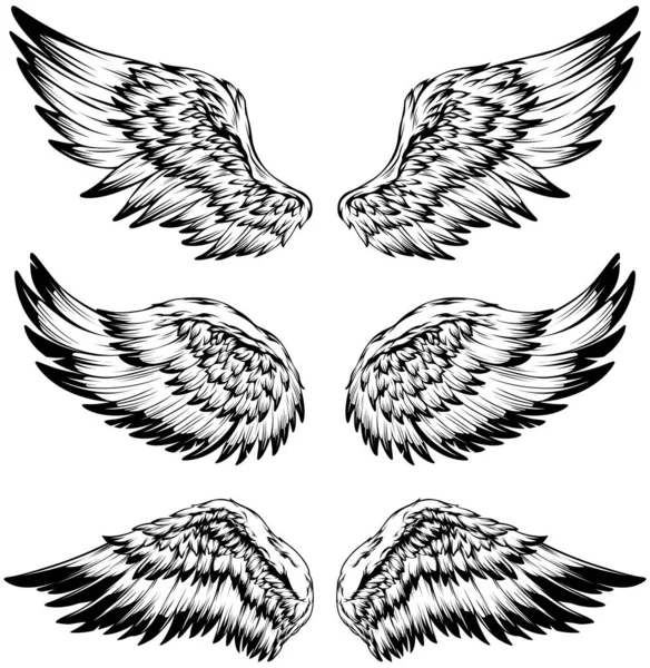 Bird Wings Illustration Tattoo Style Hand Drawn Design Element — 图库矢量图片