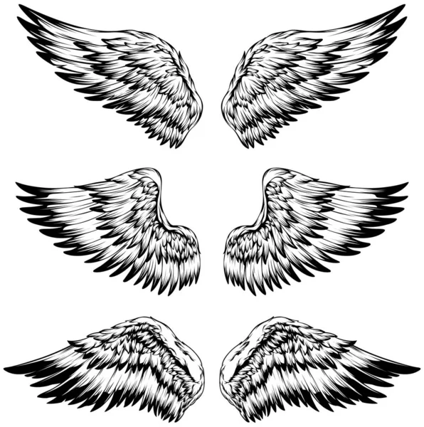 Alas Pájaro Ilustración Tatuaje Estilo Elemento Diseño Dibujado Mano — Archivo Imágenes Vectoriales
