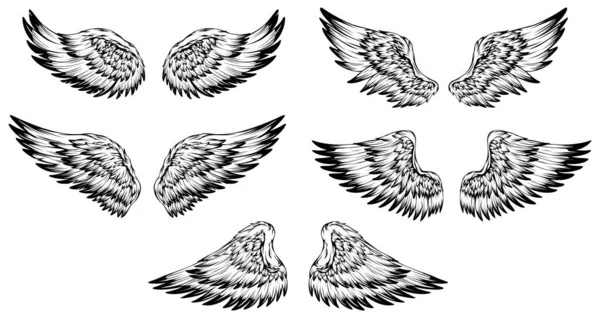Φτερά Πουλιών Εικονογράφηση Τατουάζ Στυλ Στοιχείο Σχεδιασμού Ζωγραφισμένο Στο Χέρι — Διανυσματικό Αρχείο