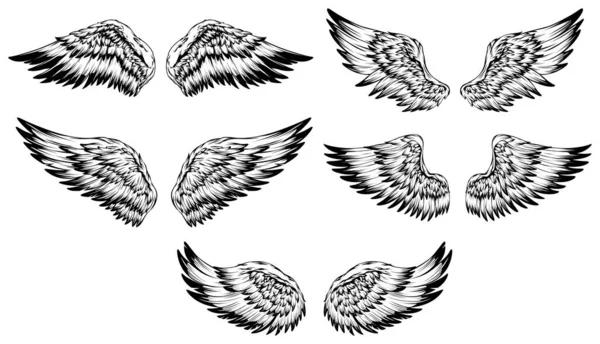 Alas Pájaro Ilustración Tatuaje Estilo Elemento Diseño Dibujado Mano — Archivo Imágenes Vectoriales