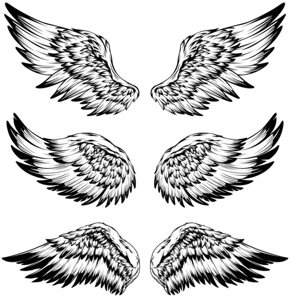 Wings Vector Art Stock Images | Depositphotos