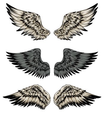 Bird wings illustration tattoo style. Hand drawn design element.