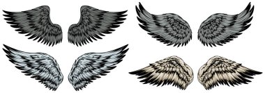 Bird wings illustration tattoo style. Hand drawn design element.