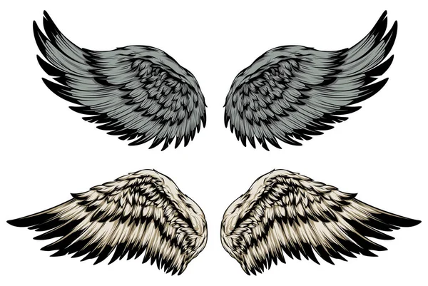 Bird Wings Illustration Tattoo Style Hand Drawn Design Element — Wektor stockowy
