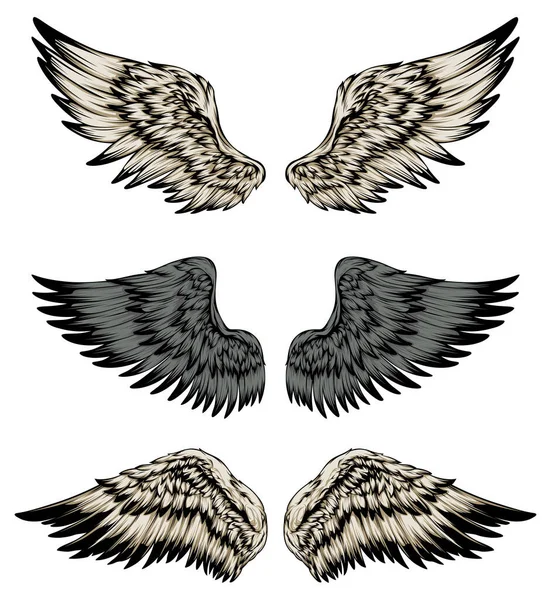 Bird Wings Illustration Tattoo Style Hand Drawn Design Element —  Vetores de Stock
