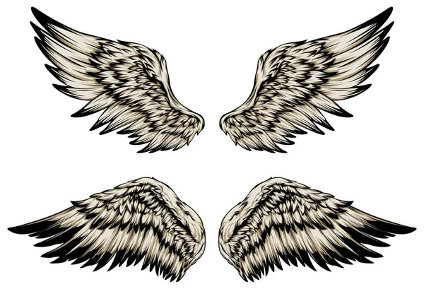 Alas Pájaro Ilustración Tatuaje Estilo Elemento Diseño Dibujado Mano — Vector de stock
