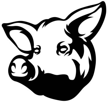 Pig head mascot. Swine logo. Hog illustration.