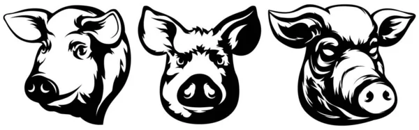 Pig Head Mascot Swine Logo Hog Illustration Set — Stock Vector