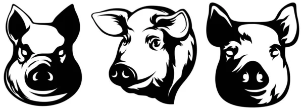 Pig Head Mascot Swine Logo Hog Illustration Set — Stock Vector