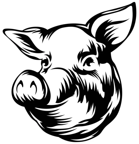 Pig Head Mascot Swine Logo Hog Illustration — Stock vektor