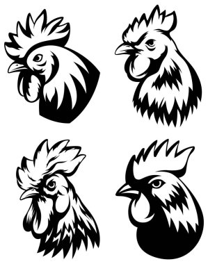 Horoz seti şefi. Sik soyut karakter çizimi. Amblem için grafik logo şablonu dizayn eder. Şirket kullanımı için portre resmi.