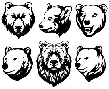 Ayı başı. Soyut karakter çizim değişkeni kümesi. Amblem için grafik logo tasarım şablonu. Portre resmi.