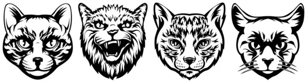 Cabeças Gatos Ilustrações Caráter Abstratas Modelos Design Logotipo Gráfico Para —  Vetores de Stock