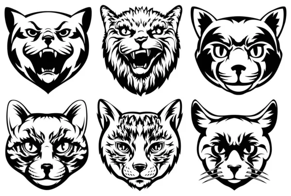 Heads Cats Abstract Character Illustrations Graphic Logo Design Templates Emblem — Stock Vector