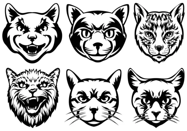 Głowy Kotów Abstrakcyjne Ilustracje Postaci Szablony Projektów Graficznych Logo Godła — Wektor stockowy