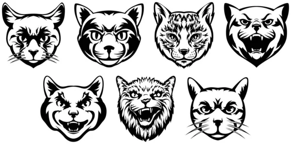Głowy Kotów Abstrakcyjne Ilustracje Postaci Szablony Projektów Graficznych Logo Godła — Wektor stockowy